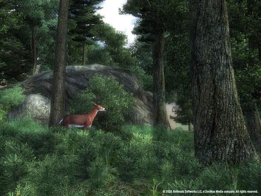 Elder Scrolls IV: Oblivion, The - Официальные скриншоты Oblivion