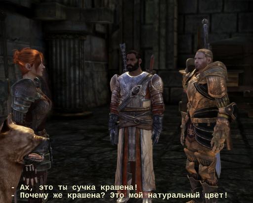 Dragon Age: Начало - Веселые слайды