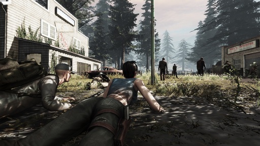 War Z, The - The War Z vs DayZ